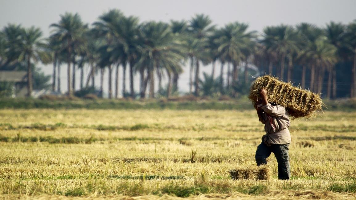 شراء وبيع الأراضي